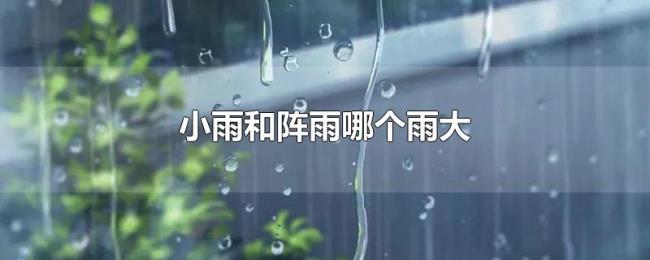 小雨和阵雨哪个雨大 小雨和阵雨哪个雨大