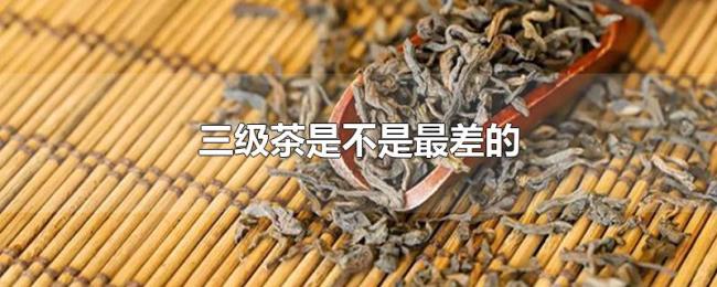 三级茶是不是最差的 三级茶是不是最差的