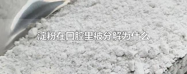 淀粉在口腔里被分解为什么 淀粉在口腔里被分解为什么