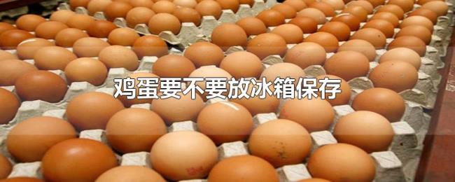 鸡蛋要不要放冰箱保存