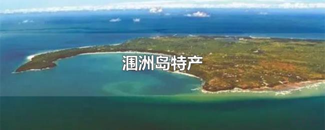 涠洲岛特产 涠洲岛特产