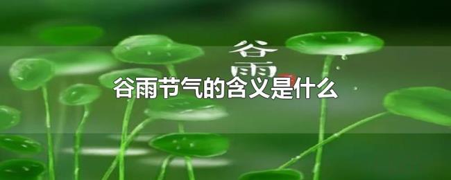 谷雨节气的含义是什么