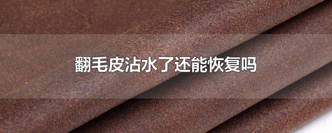翻毛皮沾水了还能恢复吗 翻毛皮沾水了还能恢复吗