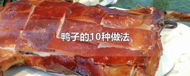 鸭子的10种做法 鸭子的10种做法