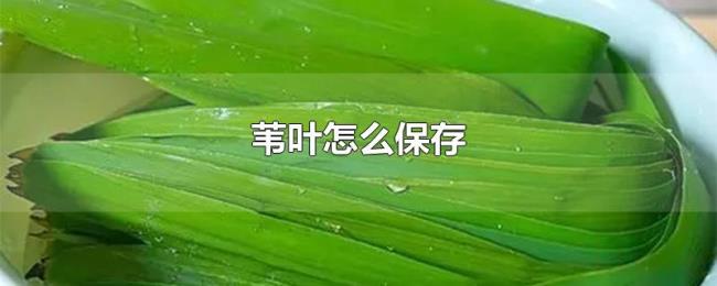 苇叶怎么保存 苇叶怎么保存