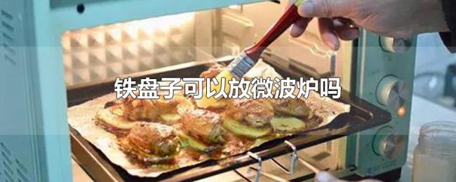 铁盘子可以放微波炉吗 铁盘子可以放微波炉吗
