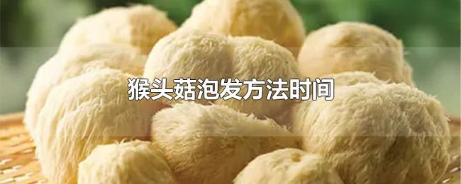 猴头菇泡发方法时间 猴头菇泡发方法时间
