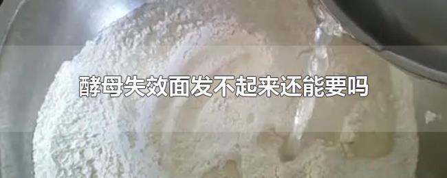 酵母失效面发不起来还能要吗