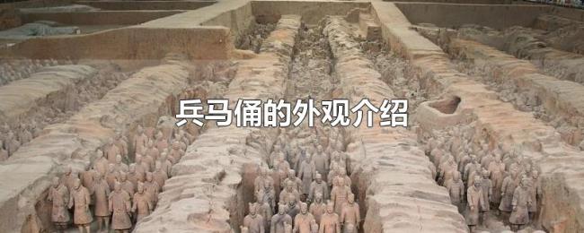 兵马俑的外观介绍