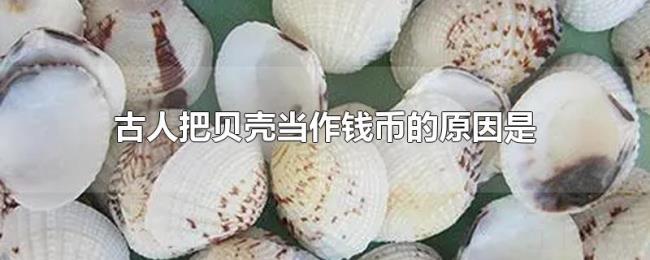 古人把贝壳当作钱币的原因是 古人把贝壳当作钱币的原因是