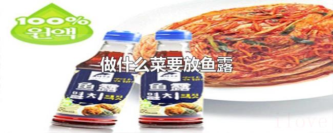 做什么菜要放鱼露 做什么菜要放鱼露