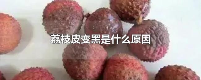 荔枝皮变黑是什么原因