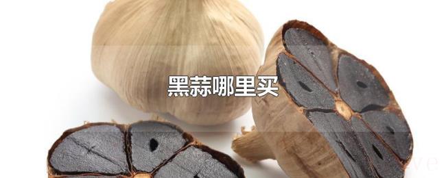 黑蒜哪里买 黑蒜哪里买