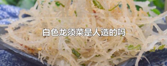 白色龙须菜是人造的吗 白色龙须菜是人造的吗