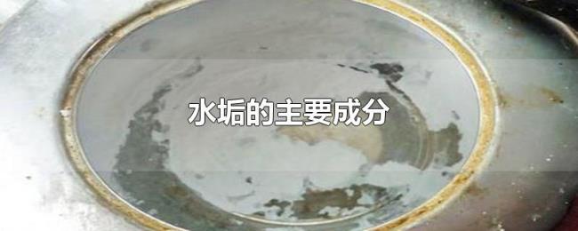 水垢的主要成分 水垢的主要成分