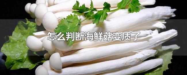 怎么判断海鲜菇变质了 怎么判断海鲜菇变质了