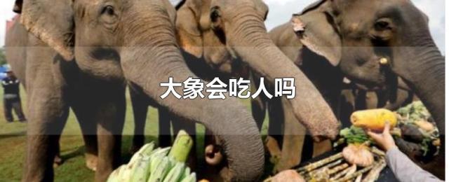 大象会吃人吗 大象会吃人吗