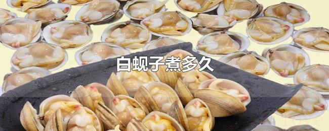白蚬子煮多久 白蚬子煮多久