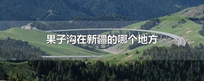 果子沟在新疆的哪个地方 果子沟在新疆的哪个地方