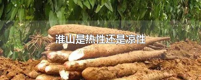 淮山是热性还是凉性 淮山是热性还是凉性
