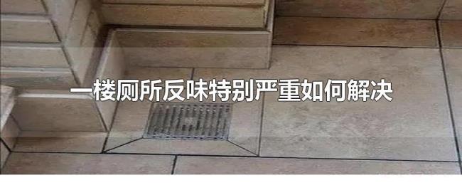 一楼厕所反味特别严重如何解决 一楼厕所反味特别严重如何解决