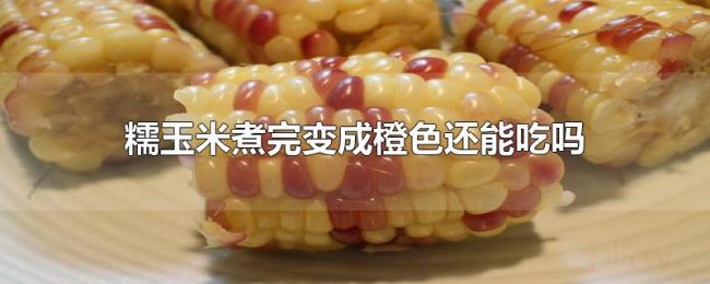 糯玉米煮完变成橙色还能吃吗 糯玉米煮完变成橙色还能吃吗