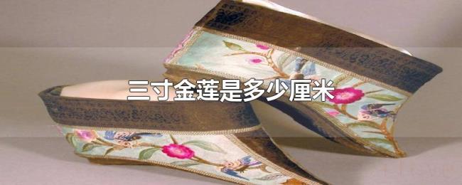 三寸金莲是多少厘米