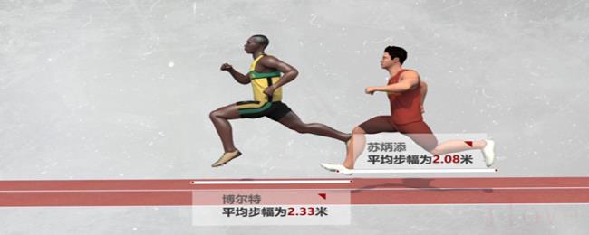步幅与身高的关系 步幅与身高的关系