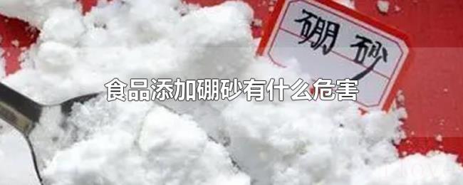 食品添加硼砂有什么危害