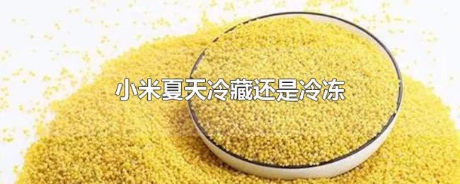 小米夏天冷藏还是冷冻