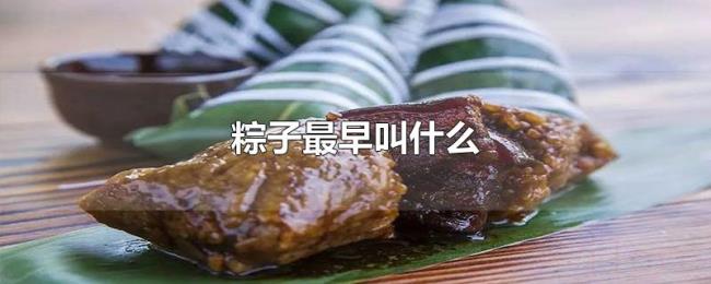 粽子最早叫什么 粽子最早叫什么