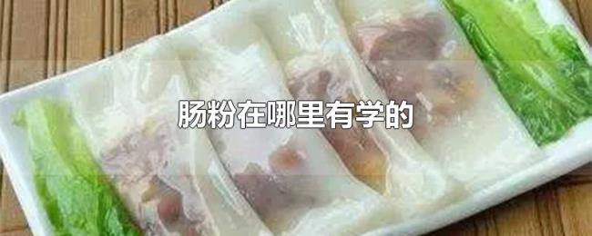 肠粉在哪里有学的 肠粉在哪里有学的