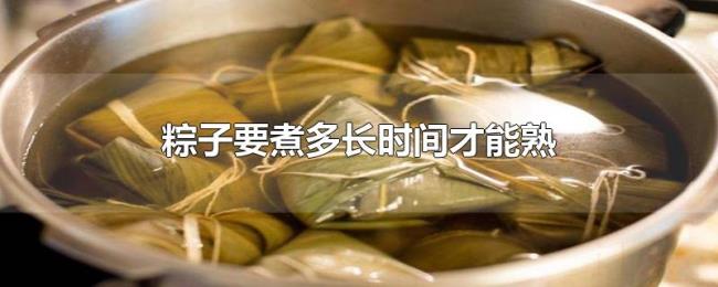 粽子要煮多长时间才能熟 粽子要煮多长时间才能熟