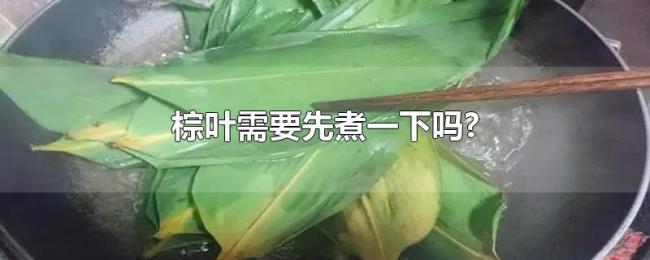 棕叶需要先煮一下吗? 棕叶需要先煮一下吗?