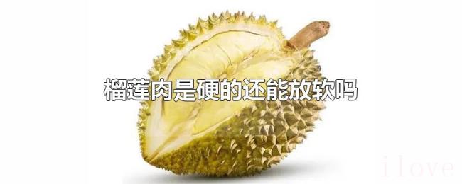 榴莲肉是硬的还能放软吗 榴莲肉是硬的还能放软吗