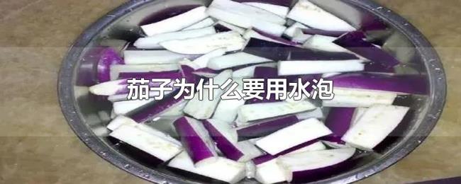 茄子为什么要用水泡 茄子为什么要用水泡