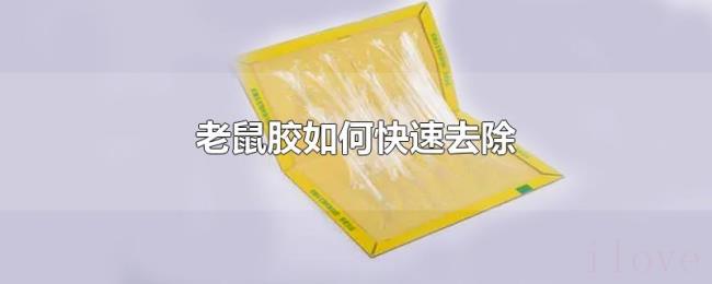 老鼠胶如何快速去除 老鼠胶如何快速去除