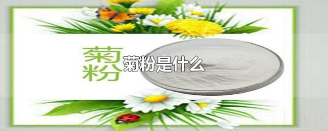 菊粉是什么 菊粉是什么