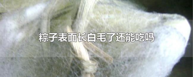 粽子表面长白毛了还能吃吗 粽子表面长白毛了还能吃吗