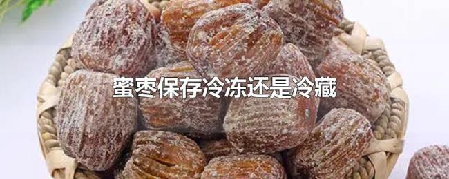 蜜枣保存冷冻还是冷藏 蜜枣保存冷冻还是冷藏