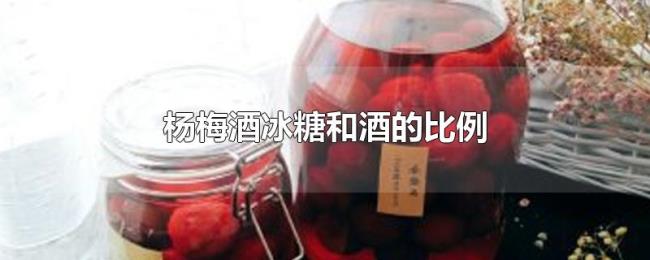 杨梅酒冰糖和酒的比例 杨梅酒冰糖和酒的比例