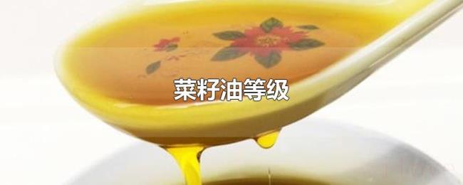 菜籽油等级 菜籽油等级