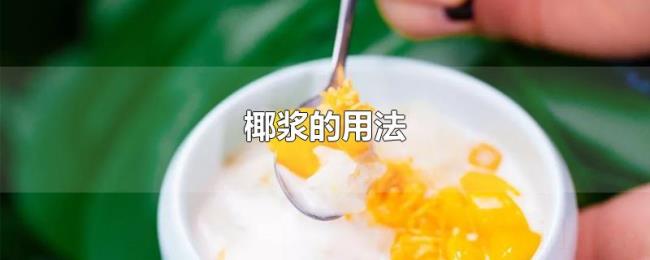 椰浆的用法 椰浆的用法
