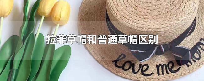 拉菲草帽和普通草帽区别 拉菲草帽和普通草帽区别