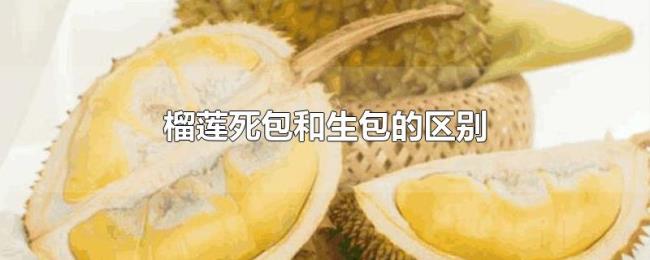 榴莲死包和生包的区别 榴莲死包和生包的区别
