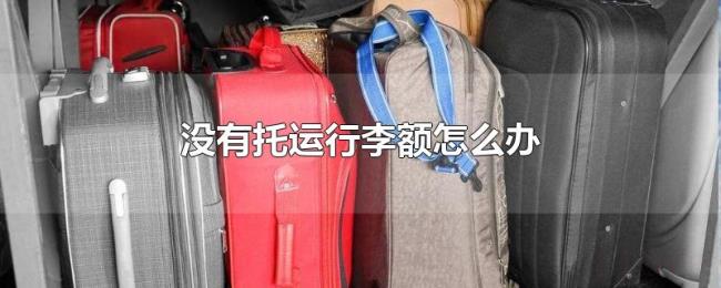 没有托运行李额怎么办 没有托运行李额怎么办