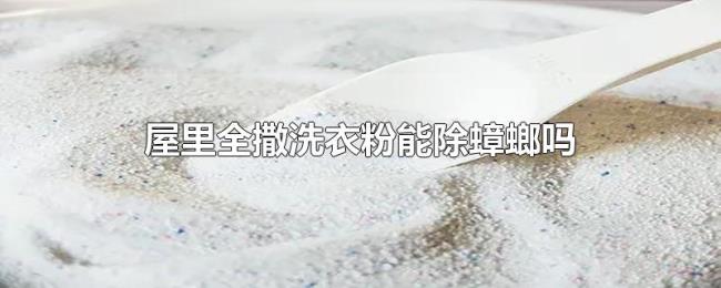 屋里全撒洗衣粉能除蟑螂吗 屋里全撒洗衣粉能除蟑螂吗