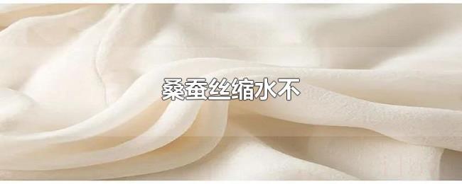 桑蚕丝缩水不 桑蚕丝缩水不