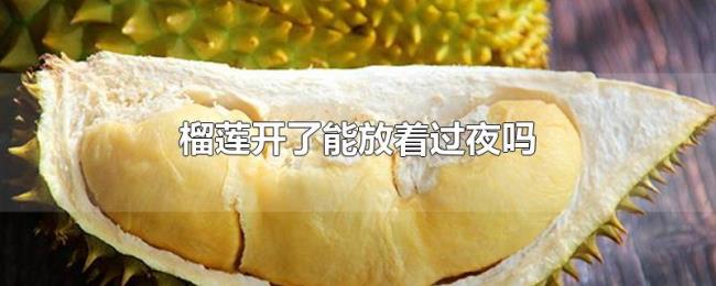 榴莲开了能放着过夜吗 榴莲开了能放着过夜吗