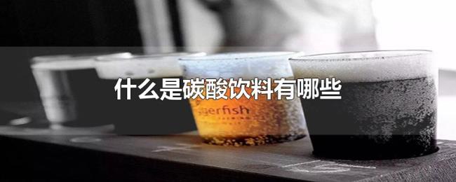 什么是碳酸饮料有哪些